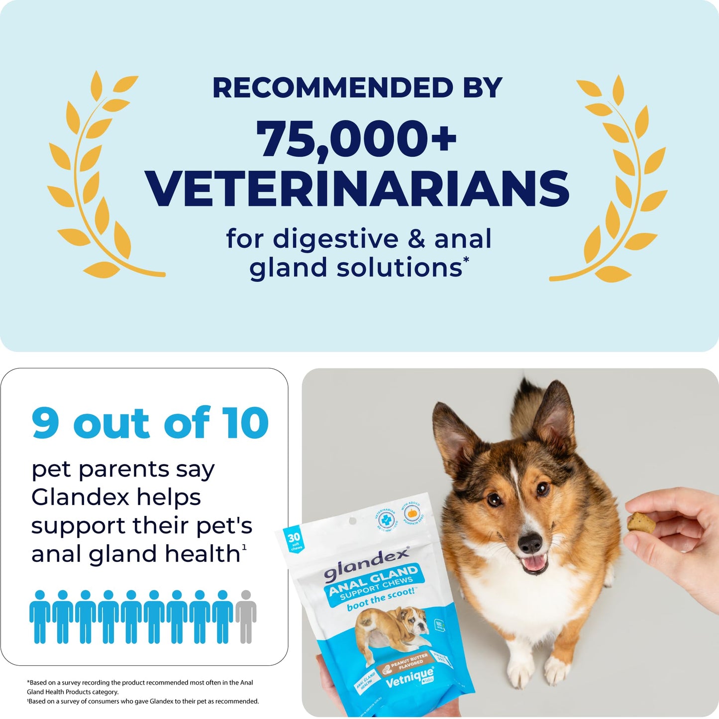 Glandex Anal Gland Soft Chew Treats with Pumpkin for robiotics Fiber Supplement for Dogs Boot The Scoot (Peanut Butter Chews, 60ct)