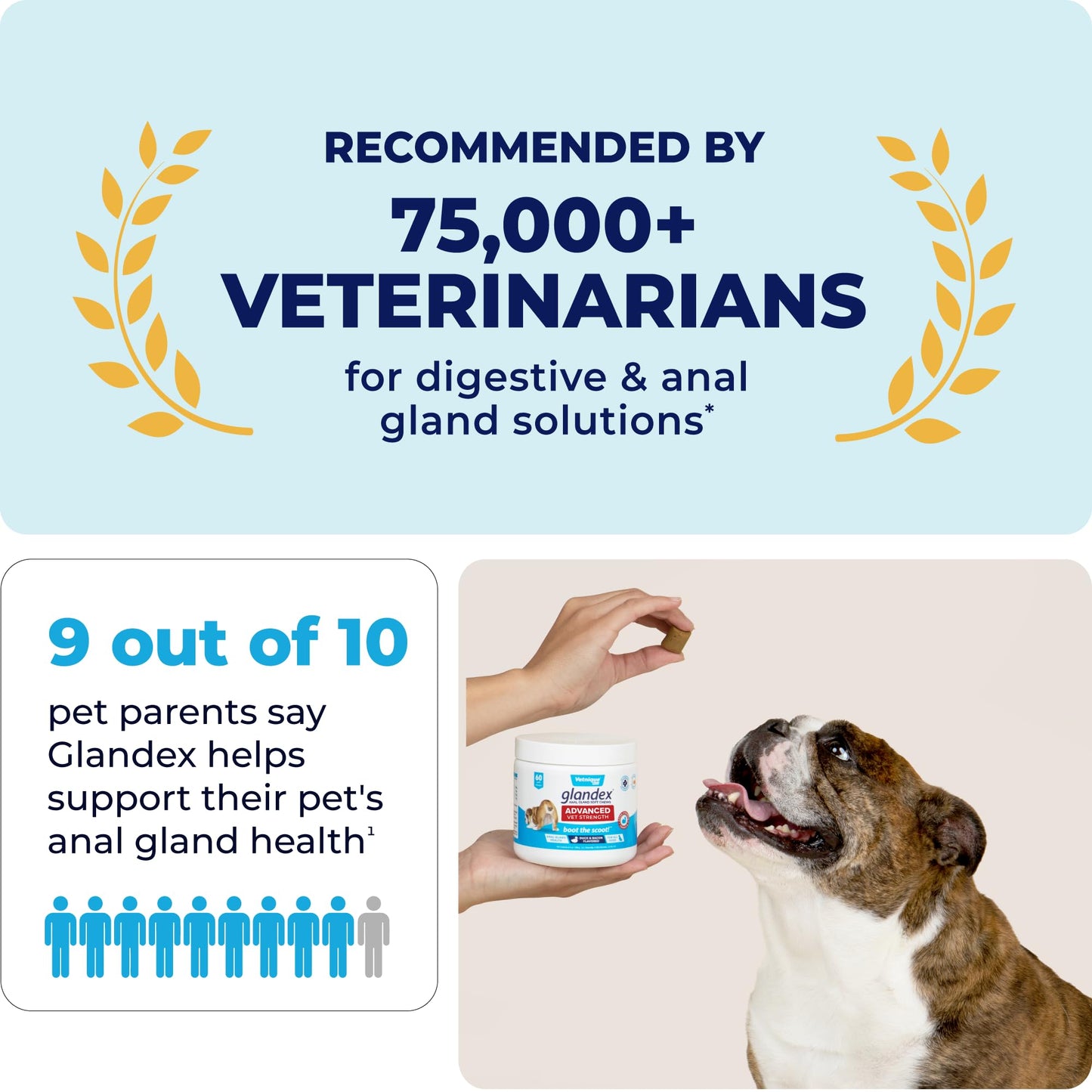 Glandex Anal Gland Soft Chew Treats with Pumpkin for robiotics Fiber Supplement for Dogs Boot The Scoot (Peanut Butter Chews, 60ct)