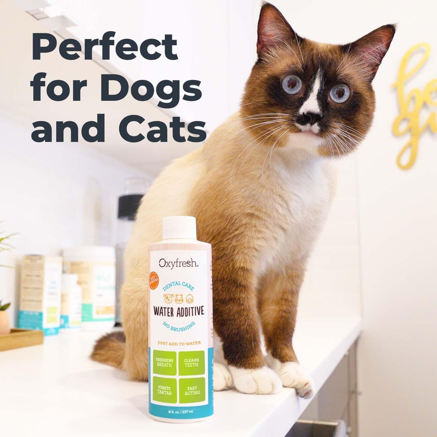 Oxyfresh Premium Pet Dental Care Pet Water Additive: Best Way to Eliminate Bad Dog Breath and Cat Bad Breath - Fights Tartar & Plaque - So Easy