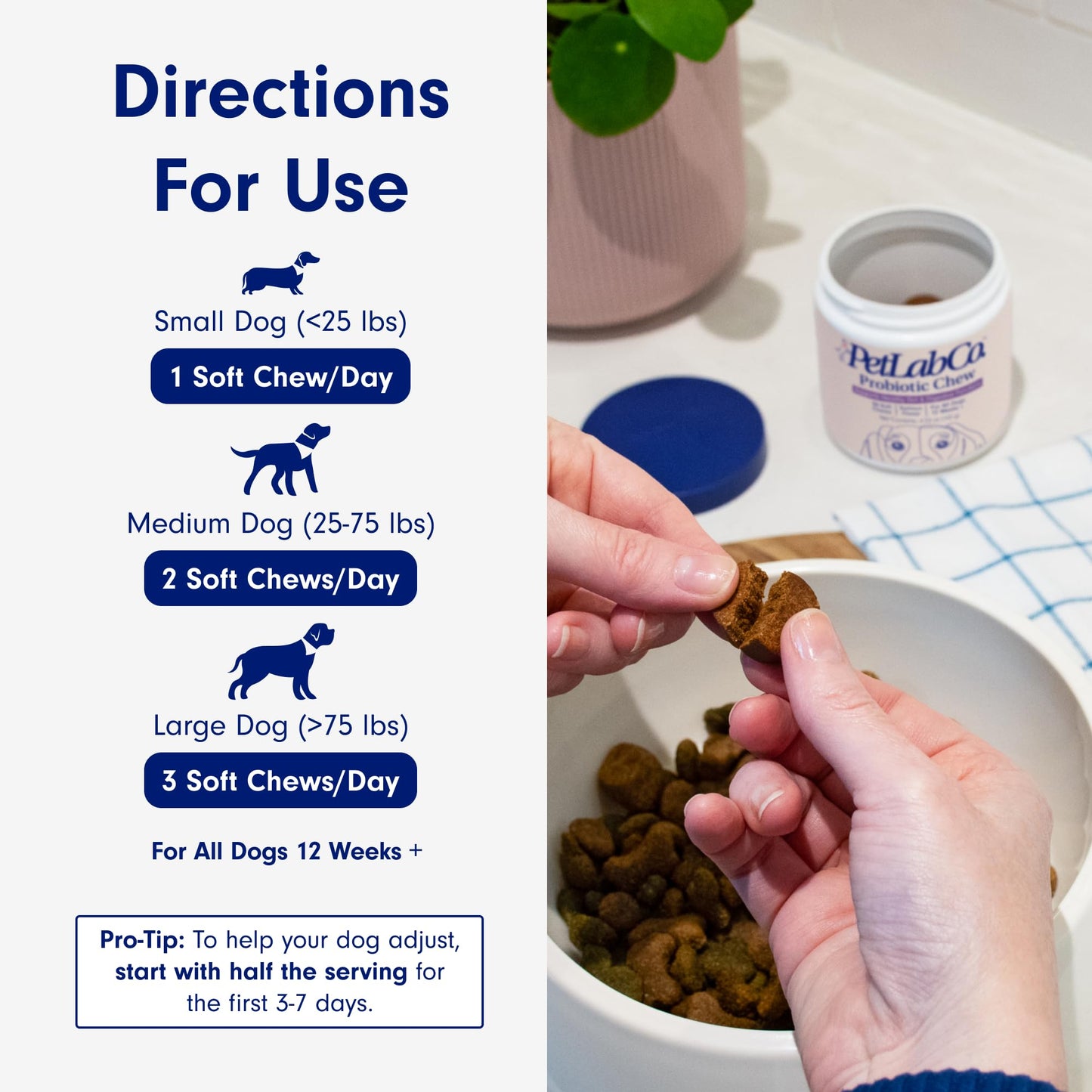 PetLab Co. Probiotics for Dogs, Support Gut Health, Occasional Diarrhea, Digestive Health & Seasonal Allergies - Pork Flavor