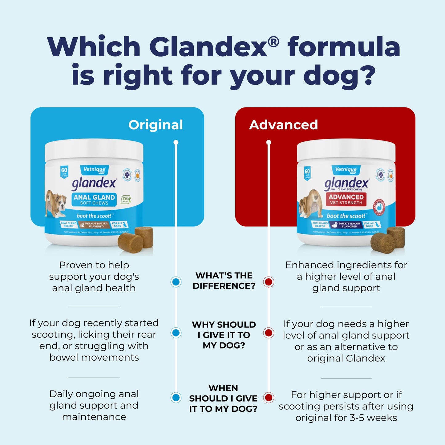 Glandex Anal Gland Soft Chew Treats with Pumpkin for robiotics Fiber Supplement for Dogs Boot The Scoot (Peanut Butter Chews, 60ct)