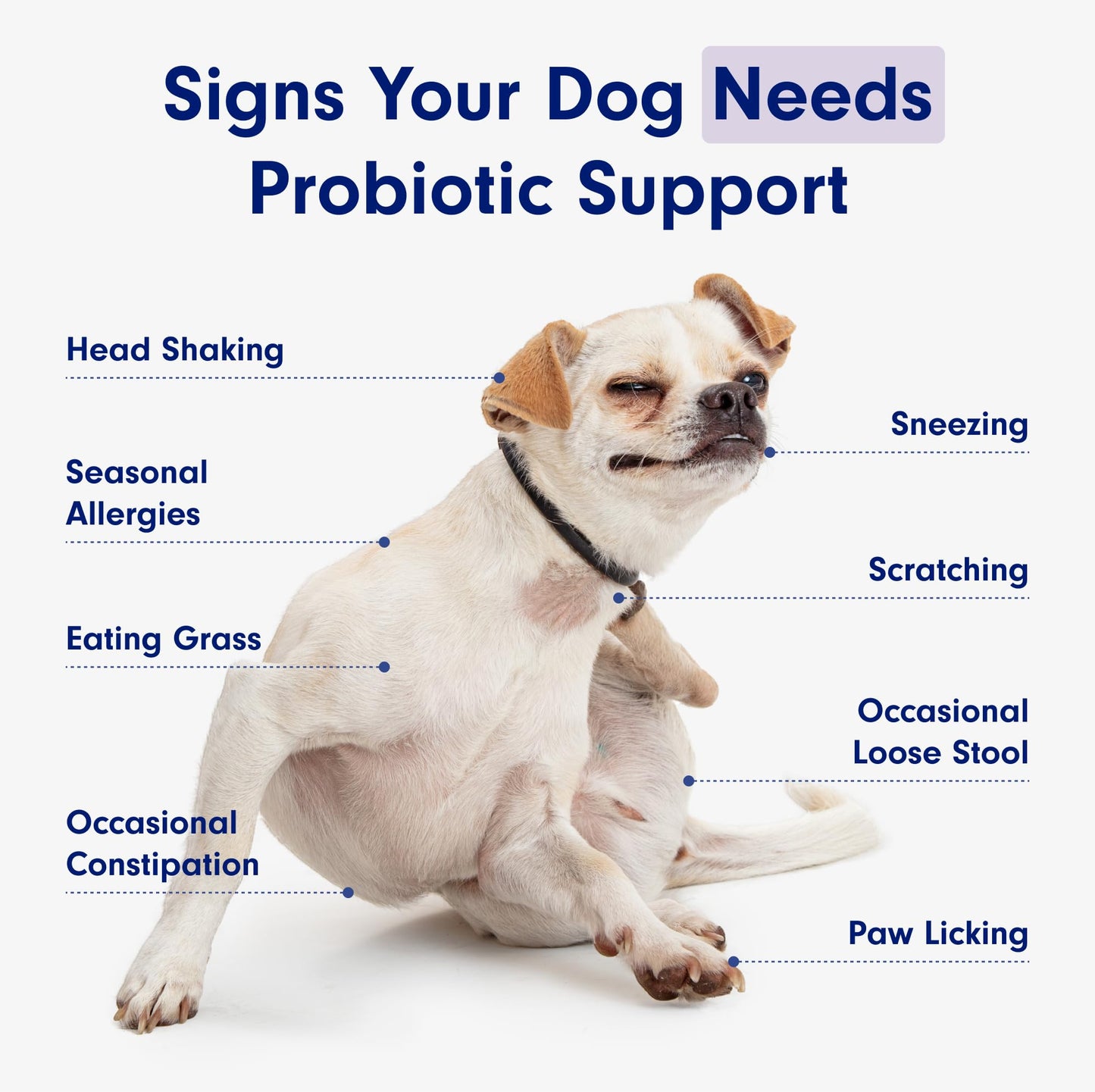 PetLab Co. Probiotics for Dogs, Support Gut Health, Occasional Diarrhea, Digestive Health & Seasonal Allergies - Pork Flavor