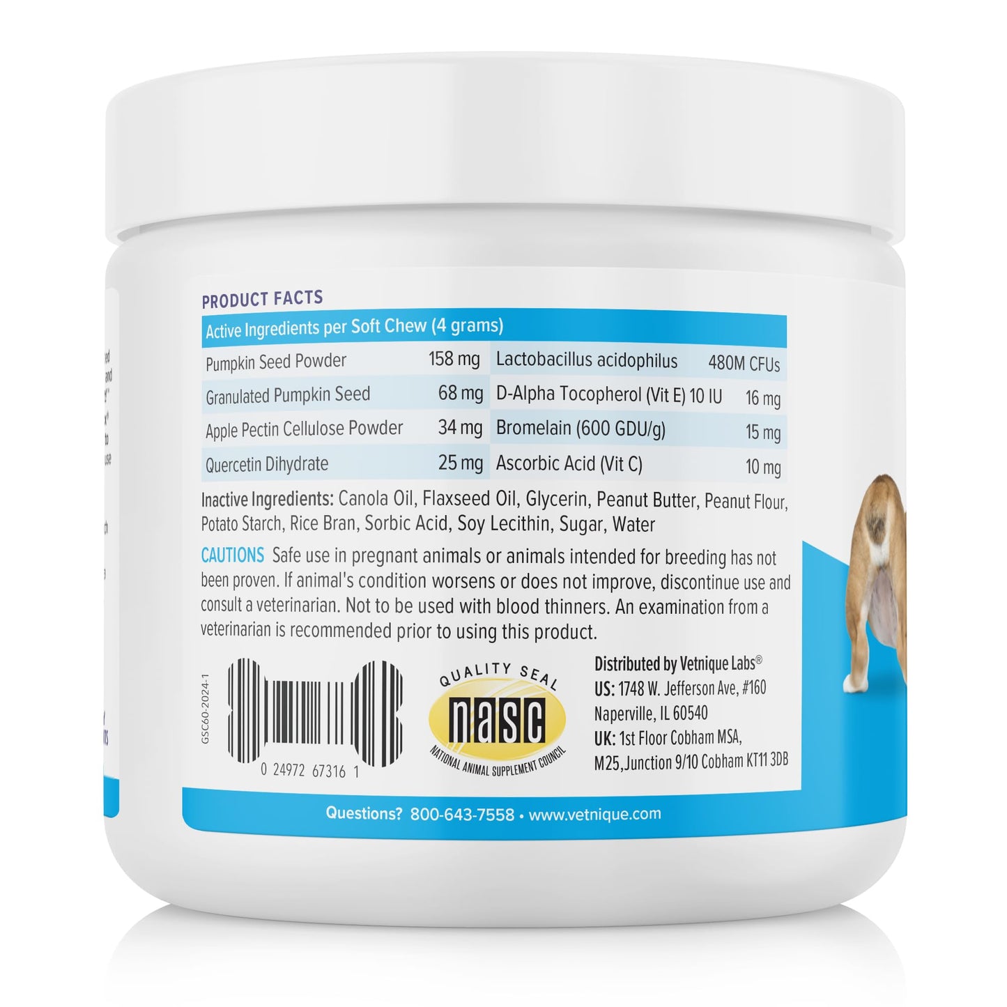 Glandex Anal Gland Soft Chew Treats with Pumpkin for robiotics Fiber Supplement for Dogs Boot The Scoot (Peanut Butter Chews, 60ct)