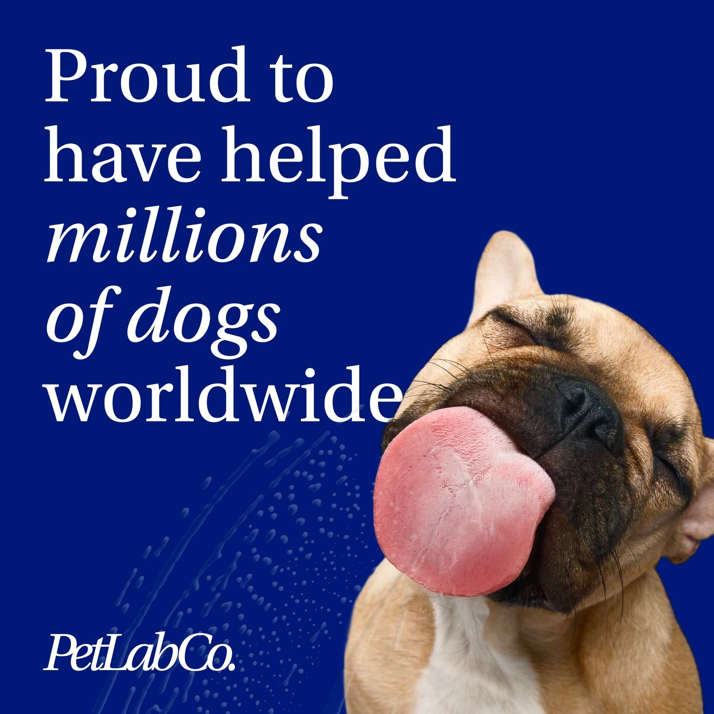 PetLab Co. Probiotics for Dogs, Support Gut Health, Occasional Diarrhea, Digestive Health & Seasonal Allergies - Pork Flavor