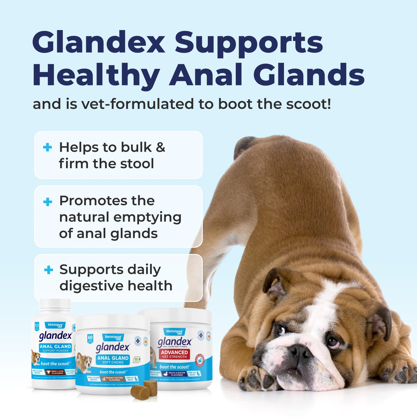 Glandex Anal Gland Soft Chew Treats with Pumpkin for robiotics Fiber Supplement for Dogs Boot The Scoot (Peanut Butter Chews, 60ct)