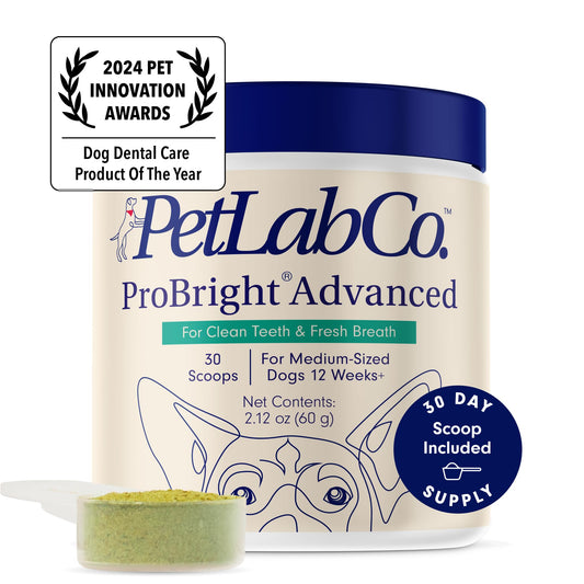 PetLab Co. ProBright Advanced Dental Powder - Dog Breath Freshener - Teeth Cleaning Made Easy – Targets Tartar & Bad Breath