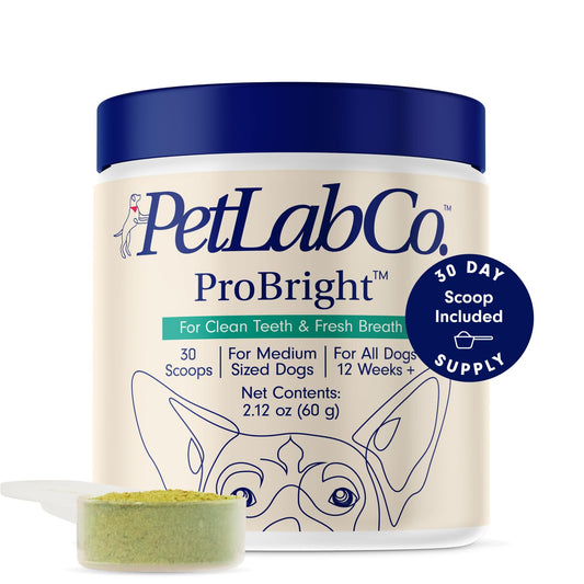 PetLab Co. ProBright Dental Powder - Dog Breath Freshener - Teeth Cleaning Made Easy – Targets Tartar & Bad Breath - Formulated for Medium Size Dogs