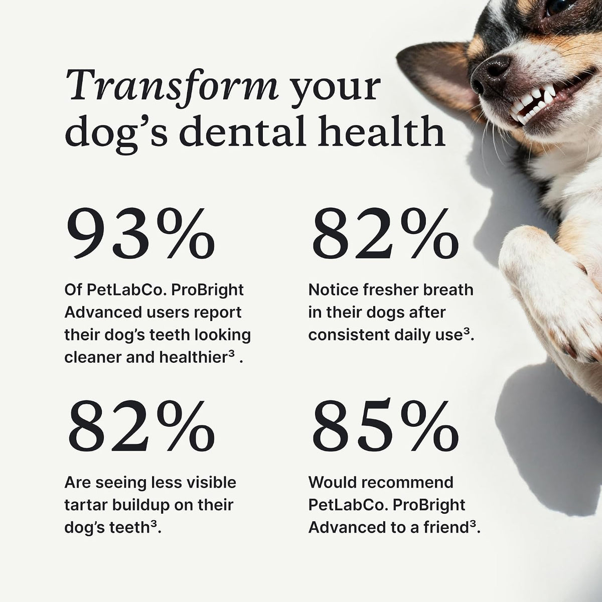 PetLab Co. ProBright Advanced Dental Powder - Dog Breath Freshener - Teeth Cleaning Made Easy – Targets Tartar & Bad Breath