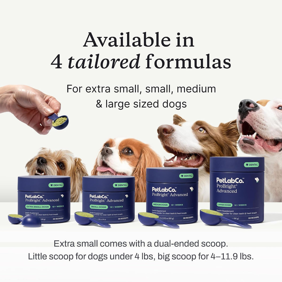PetLab Co. ProBright Advanced Dental Powder - Dog Breath Freshener - Teeth Cleaning Made Easy – Targets Tartar & Bad Breath