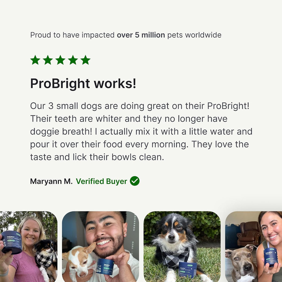 PetLab Co. ProBright Dental Powder - Dog Breath Freshener - Teeth Cleaning Made Easy – Targets Tartar & Bad Breath - Formulated for Medium Size Dogs