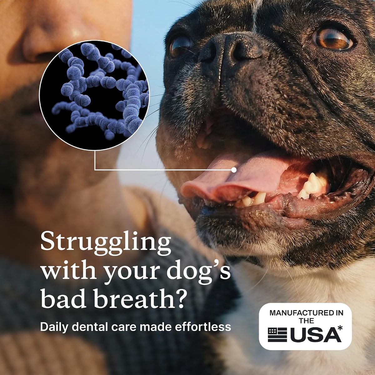 PetLab Co. ProBright Dental Powder - Dog Breath Freshener - Teeth Cleaning Made Easy – Targets Tartar & Bad Breath - Formulated for Medium Size Dogs