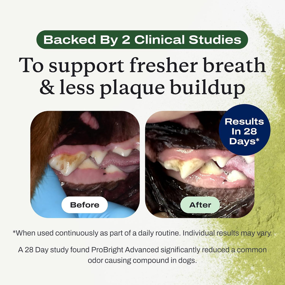 PetLab Co. ProBright Advanced Dental Powder - Dog Breath Freshener - Teeth Cleaning Made Easy – Targets Tartar & Bad Breath
