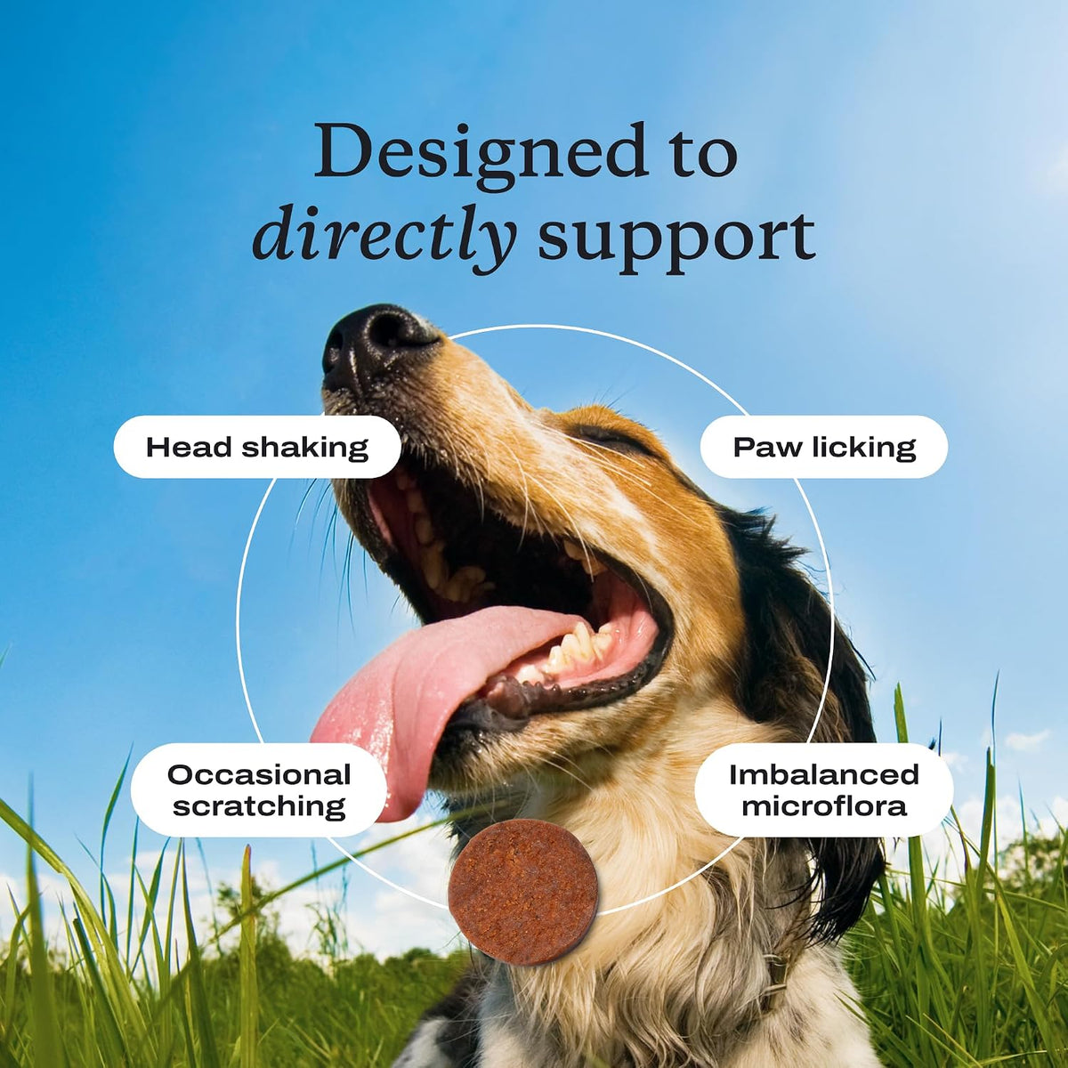 PetLab Co. Allergy & Immune Daily Probiotics for Dogs. Supports Yeast Production, Seasonal Allergies, Intermittent Itchiness