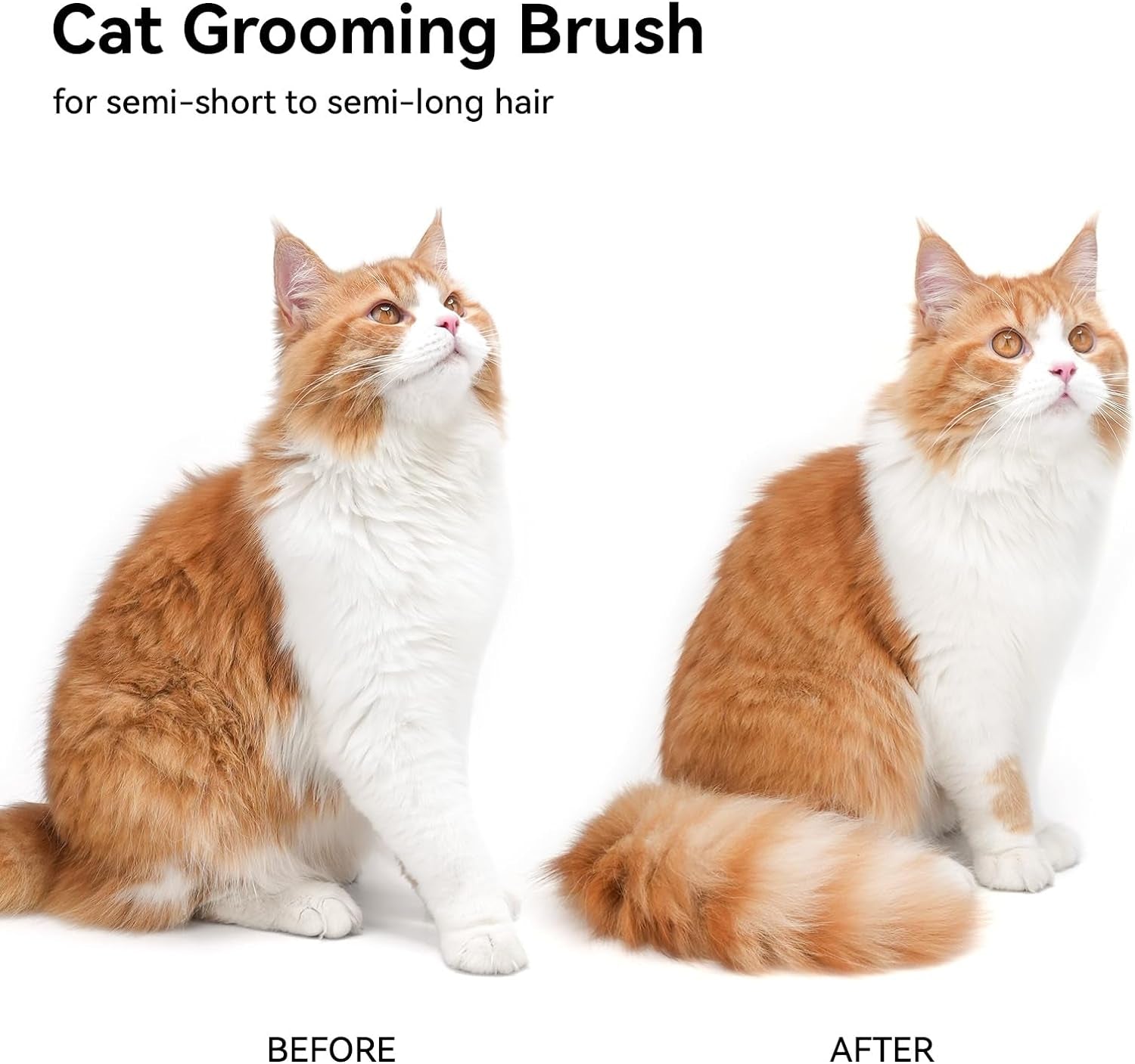 Cat Brush for Shedding, Cat Brushes for Indoor Cats, Cat Brush for Long or Short Haired Cats, Cat Hair Brush Cat Grooming Deshedding Brush for Dog Kitten Horse Massage Removes Loose Fur, White